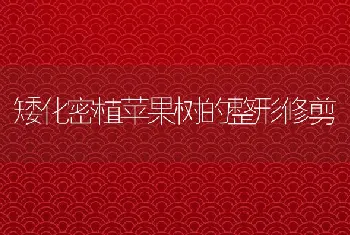 5月福建水产养殖病害情况及防治建议