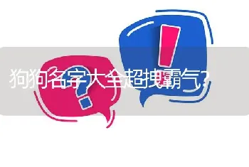 狗狗名字大全超拽霸气？