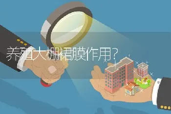 养殖大棚裙膜作用？