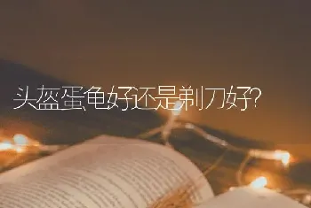 头盔蛋龟好还是剃刀好？