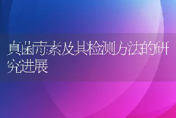 真菌毒素及其检测方法的研究进展