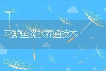 花鲈鱼淡水养殖技术