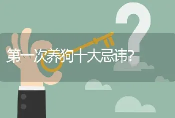 第一次养狗十大忌讳？