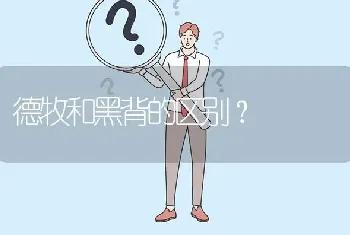 德牧和黑背的区别？