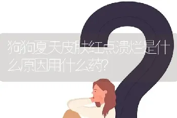 狗狗夏天皮肤红点溃烂是什么原因用什么药？