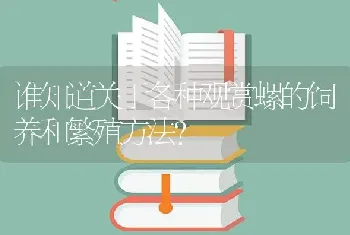 谁知道关于各种观赏螺的饲养和繁殖方法？