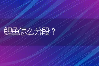 河南农村常见的鸟类？