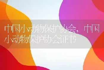 中国小动物保护协会，中国小动物保护协会证书