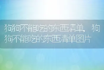 狗狗不能吃的东西清单，狗狗不能吃的东西清单图片