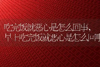 吃完饭就恶心是怎么回事，早上吃完饭就恶心是怎么回事