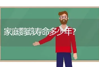 柯基好养吗优缺点分析？