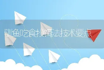 宽体金线蛭养殖技术