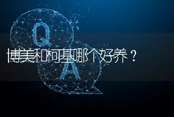 博美和柯基哪个好养？