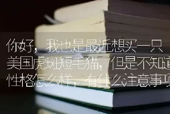 你好，我也是最近想买一只美国虎斑短毛猫，但是不知道性格怎么样，有什么注意事项吗?我也不知道大概价格？