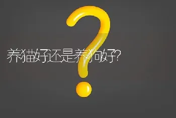 养猫好还是养狗好？