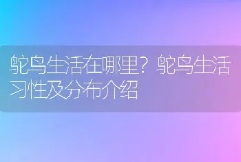 鸵鸟生活在哪里？鸵鸟生活习性及分布介绍