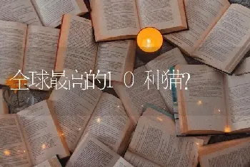 全球最高的10种猫？