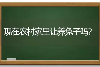 狗狗断尾有哪些注意的地方？