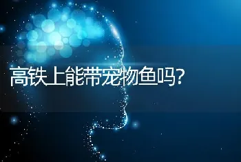 《挪威的森林》里敢死队的角色有什么作用？