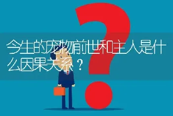 今生的宠物前世和主人是什么因果关系？