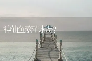 神仙鱼繁殖水温？