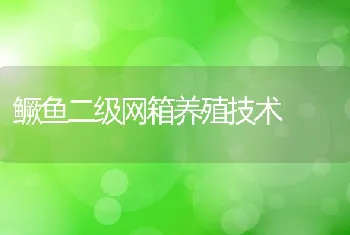 鳜鱼二级网箱养殖技术