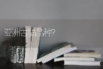 亚洲古猫品种？