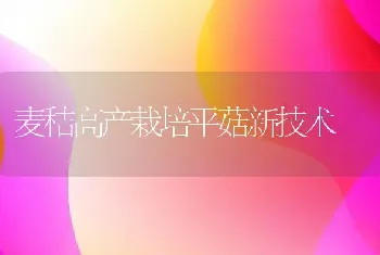 麦秸高产栽培平菇新技术