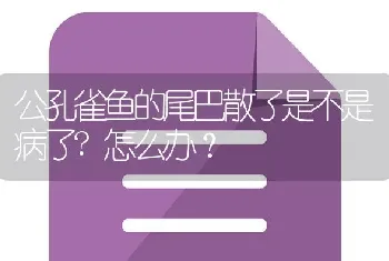 公孔雀鱼的尾巴散了是不是病了？怎么办？