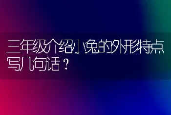 三年级介绍小兔的外形特点写几句话？