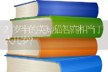 怎样挑选德牧幼犬？