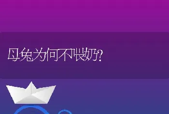 母兔为何不喂奶？