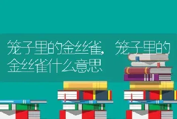 笼子里的金丝雀，笼子里的金丝雀什么意思