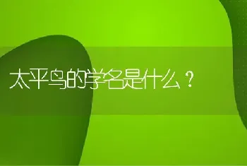 太平鸟的学名是什么？