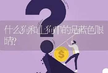 什么狗和土狗串的是蓝色眼睛？