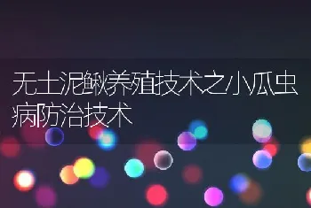 无土泥鳅养殖技术之小瓜虫病防治技术