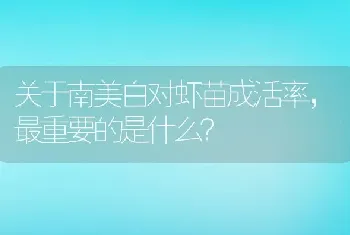 关于南美白对虾苗成活率，最重要的是什么？