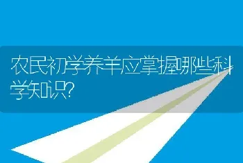 农民初学养羊应掌握哪些科学知识？