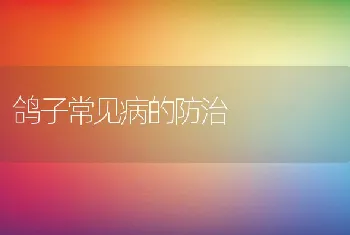 鸽子常见病的防治