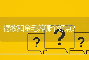 德牧和金毛养哪个好点？