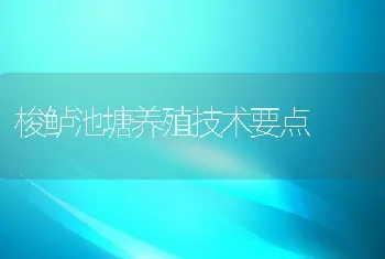 梭鲈池塘养殖技术要点