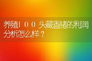 养殖100头藏香猪的利润分析怎么样？