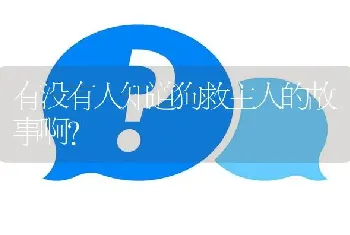 有没有人知道狗救主人的故事啊？