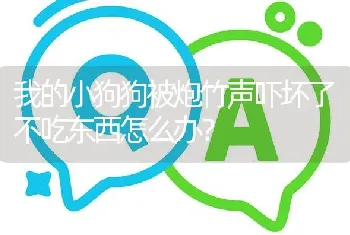 我的小狗狗被炮竹声吓坏了不吃东西怎么办？