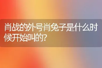 肖战的外号肖兔子是什么时候开始叫的？