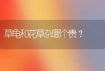 俊介这种狗好的品种多少钱？