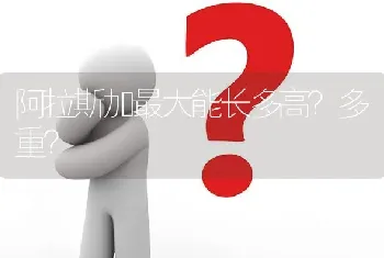 阿拉斯加最大能长多高？多重？