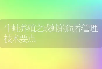 牛蛙养殖之成蛙的饲养管理技术要点