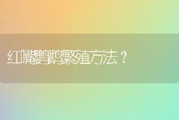 红嘴鹦鹉繁殖方法？