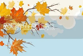 网箱养鱼的优缺点